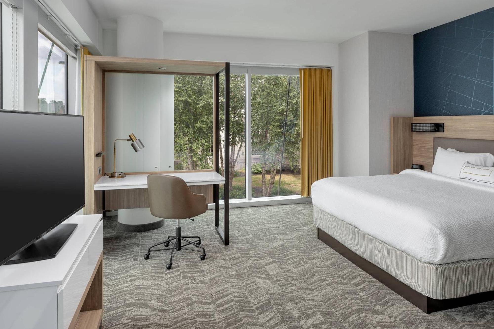 Larger King Room with Sofa Bed