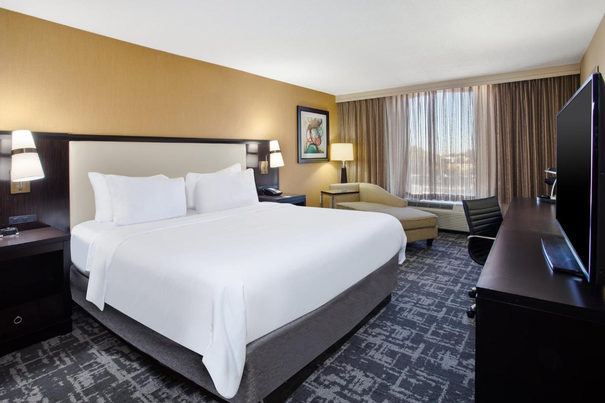 Single Room Single Bed Hearing Accessible Roll Shower Non-Smoking,1705668606:JPEG